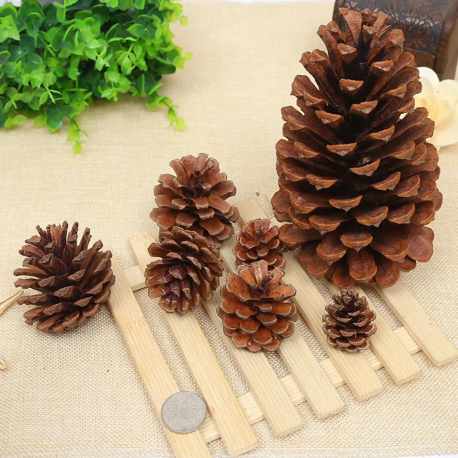  Thanksgiving Mini Brown Christmas Natural Pine Cones Ornaments in Bulk for Home Decoration