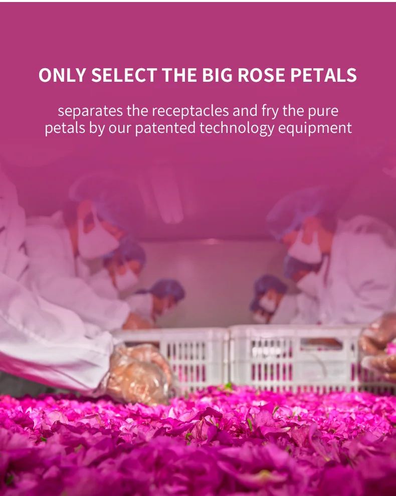 Unique Luscious Rose Black Tea Mellow Sweet Rose Black Tea