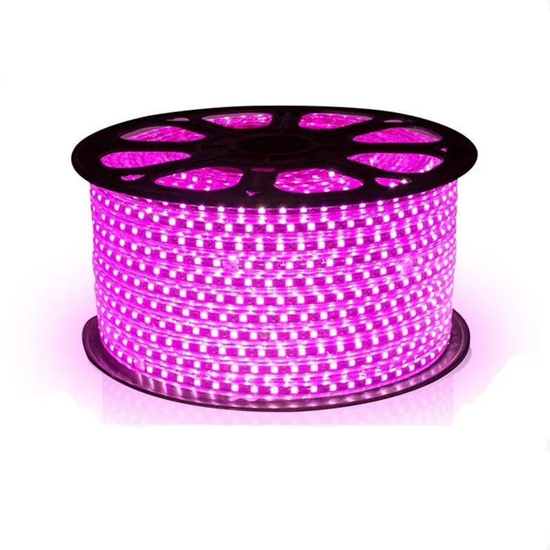 High Voltage Outdoor 110v 220v SMD 5050 Single Color RGB Led Strip Light 50m/roll 100m/roll