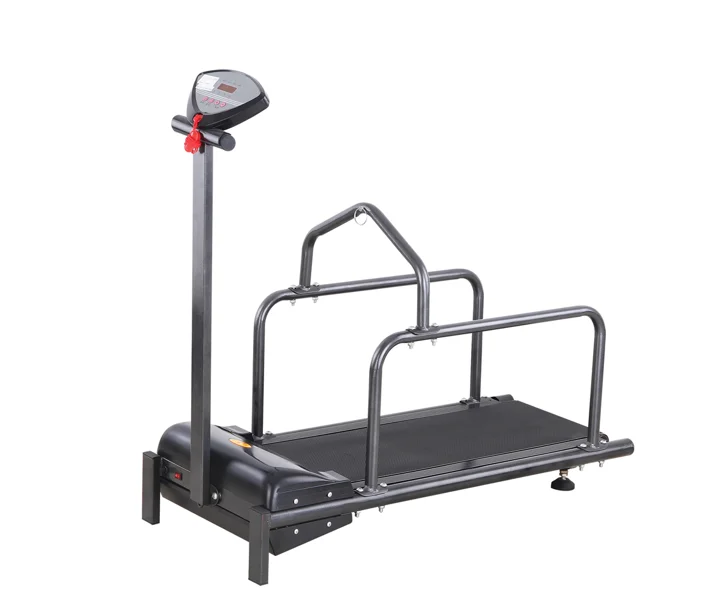 HACEMEY Hot Sale Pet Sport Equipment Animal Training Treadmill Home Electric Treadmill For Dog Exercise And Losing Weight