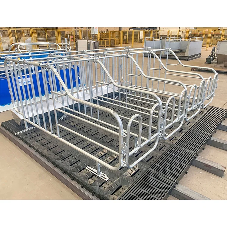 2024 new product  pig gestation pen hot sell sow gestation cages for pig high burden farming equipment