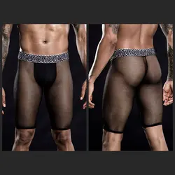 Sexy Men Underwear Black Gay Wild Passion transparent mesh boxer briefs House Party homo Jockstraps Sissy Bikini Thong G-string