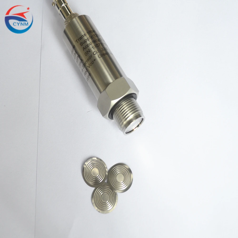 Stainless steel Diaphragm seal with flange connection