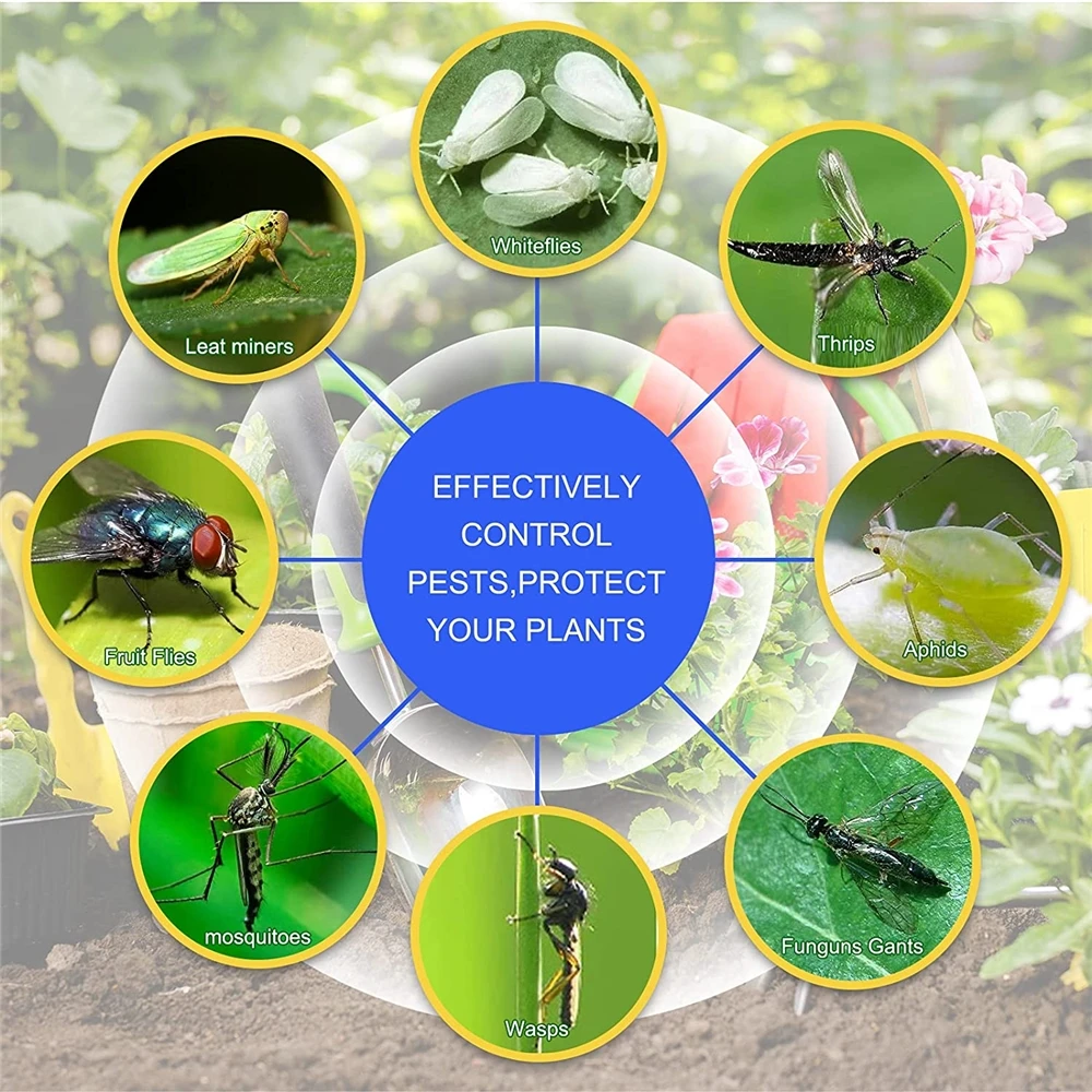 High quality durable using various blue board fly glue trap