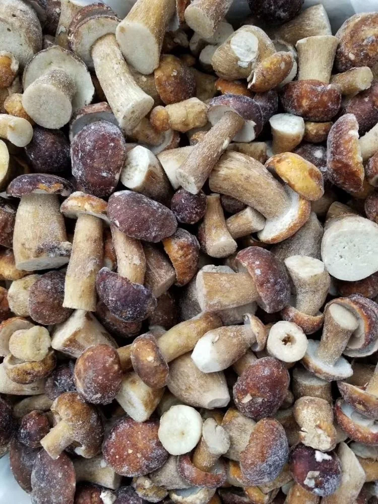 Factory Price Premium Quality Bulk Frozen Boletus Edulis Whole 2-4CM
