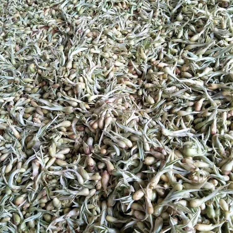 Perennial hemp  artificial plant