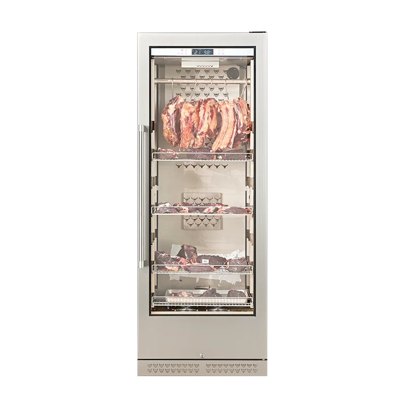 Горячая Распродажа 2021 года! Машина для возраста на говядину и мясо, маленький шкаф для стейка, холодильник, большая емкость, домашний шкаф, холодильник для сухого и старения