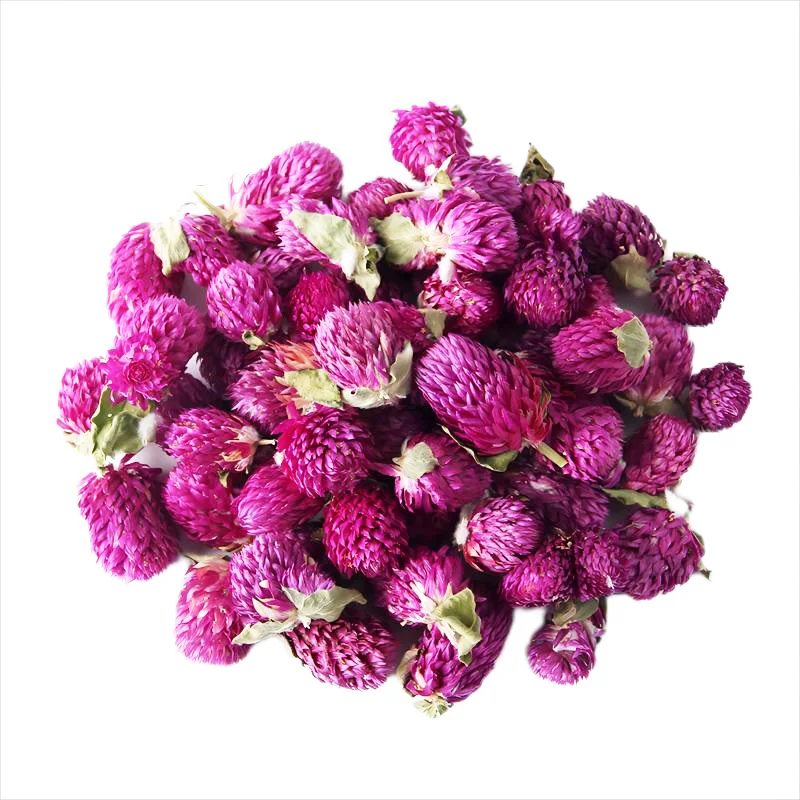 Wholesale Natural Dried Gomphrena Globosa Purple Globe Amaranth Flower for Herbal Flower Tea Soap Candle Crafts Making