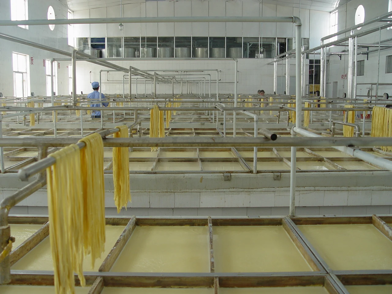 
dired bean curd stick 