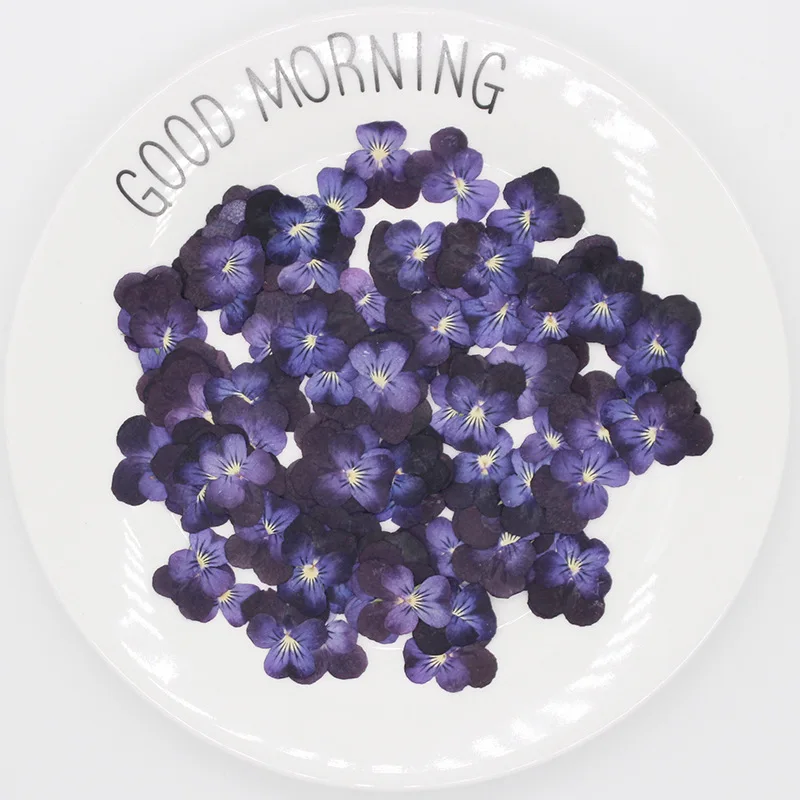 
DIY embossed three-color pressed flower pansy dried flower plant handmade material handmade natural specimen 