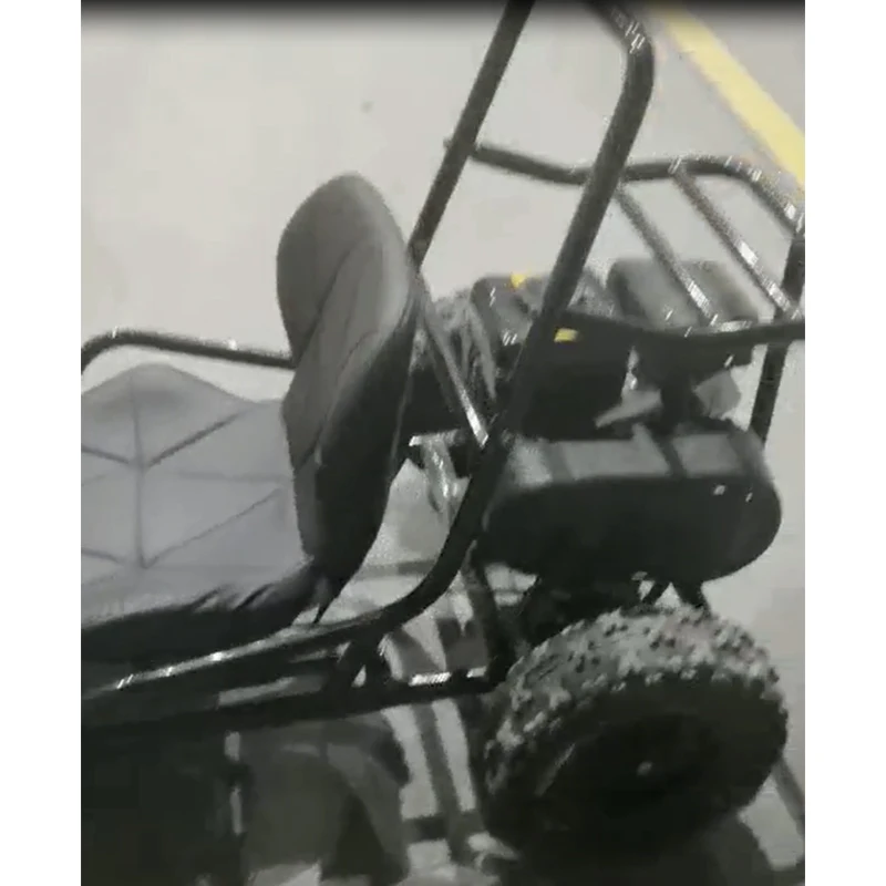 TRAIL BLAZER newest children pro version 1.2kw Electronic go kart for children