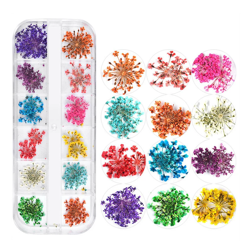 Best Price 12 Grid 3D Design Mixed Dry Dried Flowers Nail Art Box For Nails Art