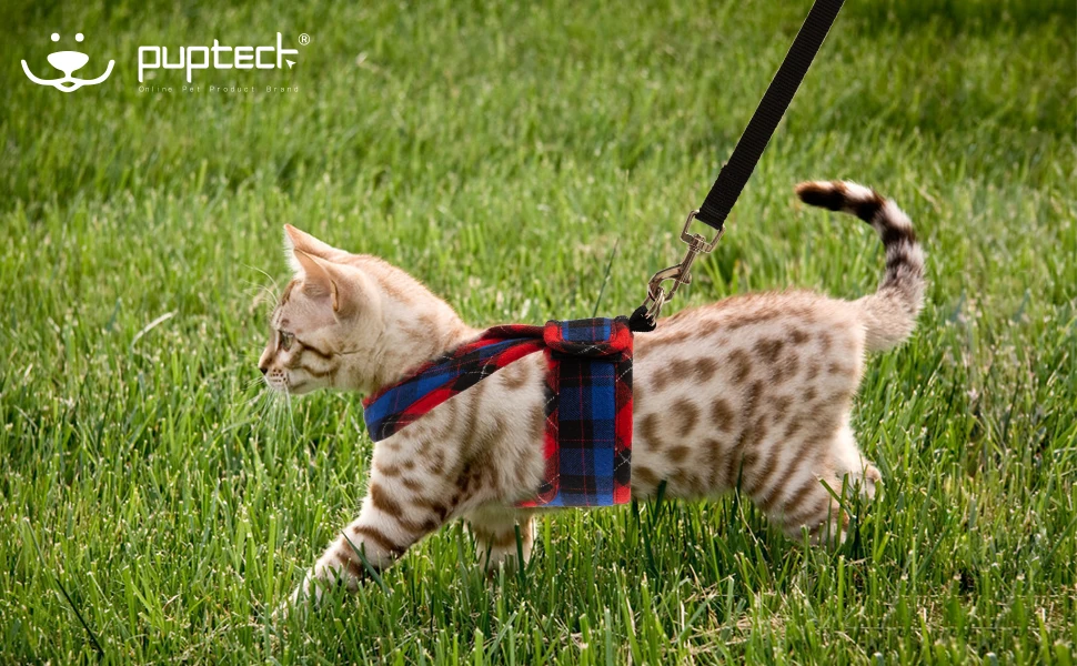 Wholesale Mesh Adjustable Neck Escape Proof Walking X-Figure Jacket Vest Pet Cat Harness and Leash Set
