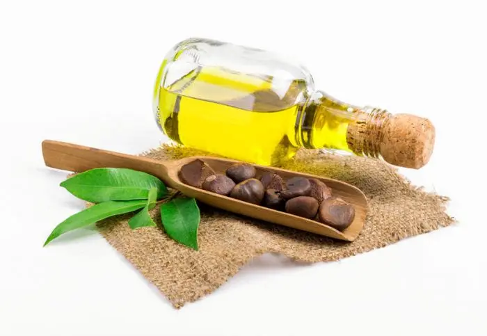 Organic cold pressed wild camellia seed oils baby oil bulk for skin care