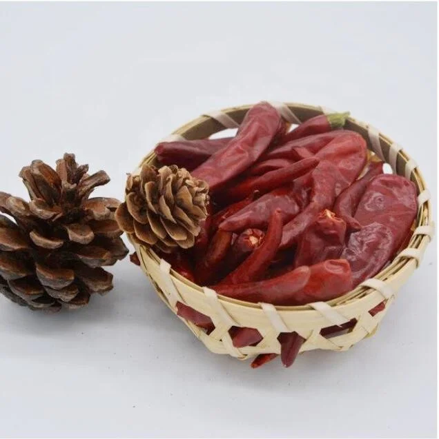 new generation chili-3.jpg