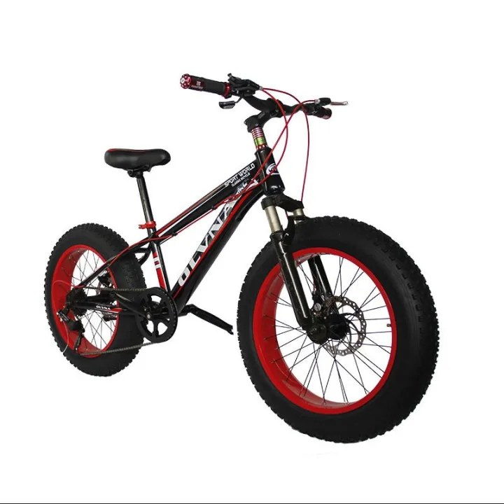 20 inch thick tire mountain bike double disc brake variable speed student bicycle men and women adult snowmobile bicycle