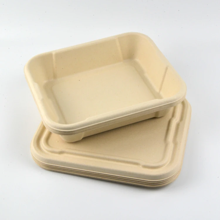 Factory Cheap Price Disposable Biodegradable Fruit Tray Bagasse Pulp Food Container Paper Food Container Tray
