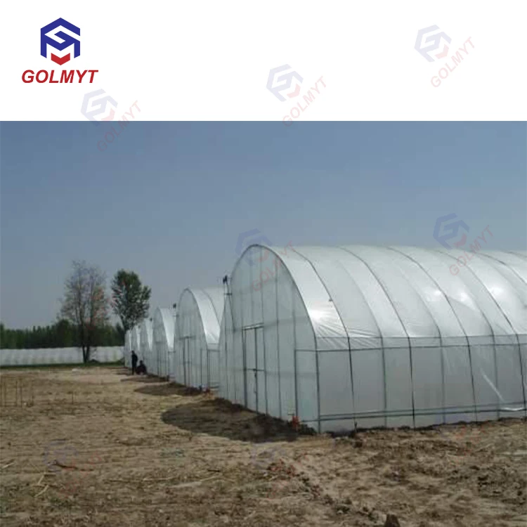  Оптовая продажа с завода прозрачная теплица из