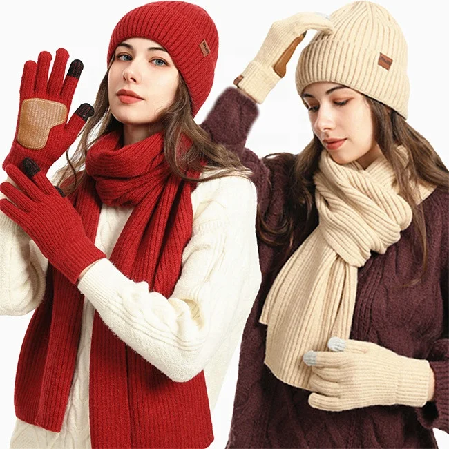 Top Quality 2024 Touch Screen Nonslip Leather Labels Winter Women Men Warm Fleece Inside Knitted Cap Beanie Hat Scarf Gloves Set