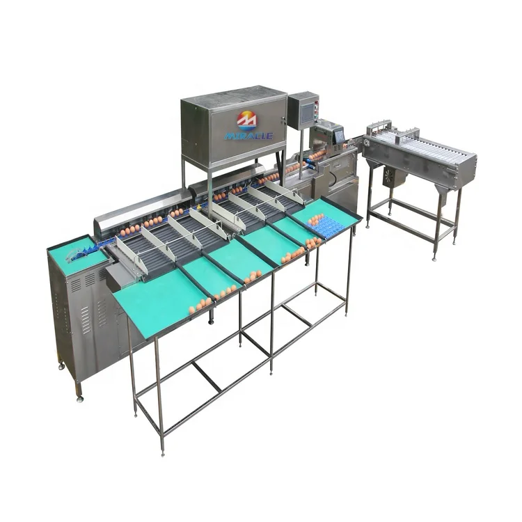 Commercial Customized Egg Grading And Packing Machine
