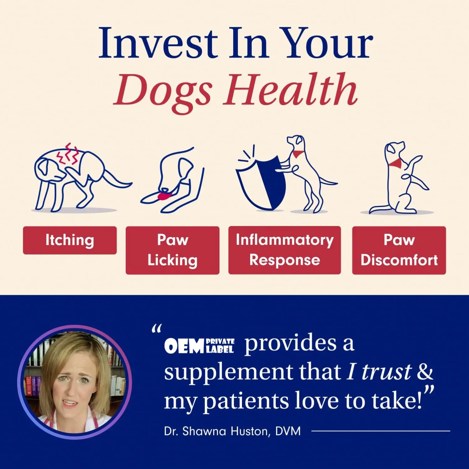 OEM Dog Probiotics for Gut Health Seasonal Allergies Digestive Support Probiotics Chews