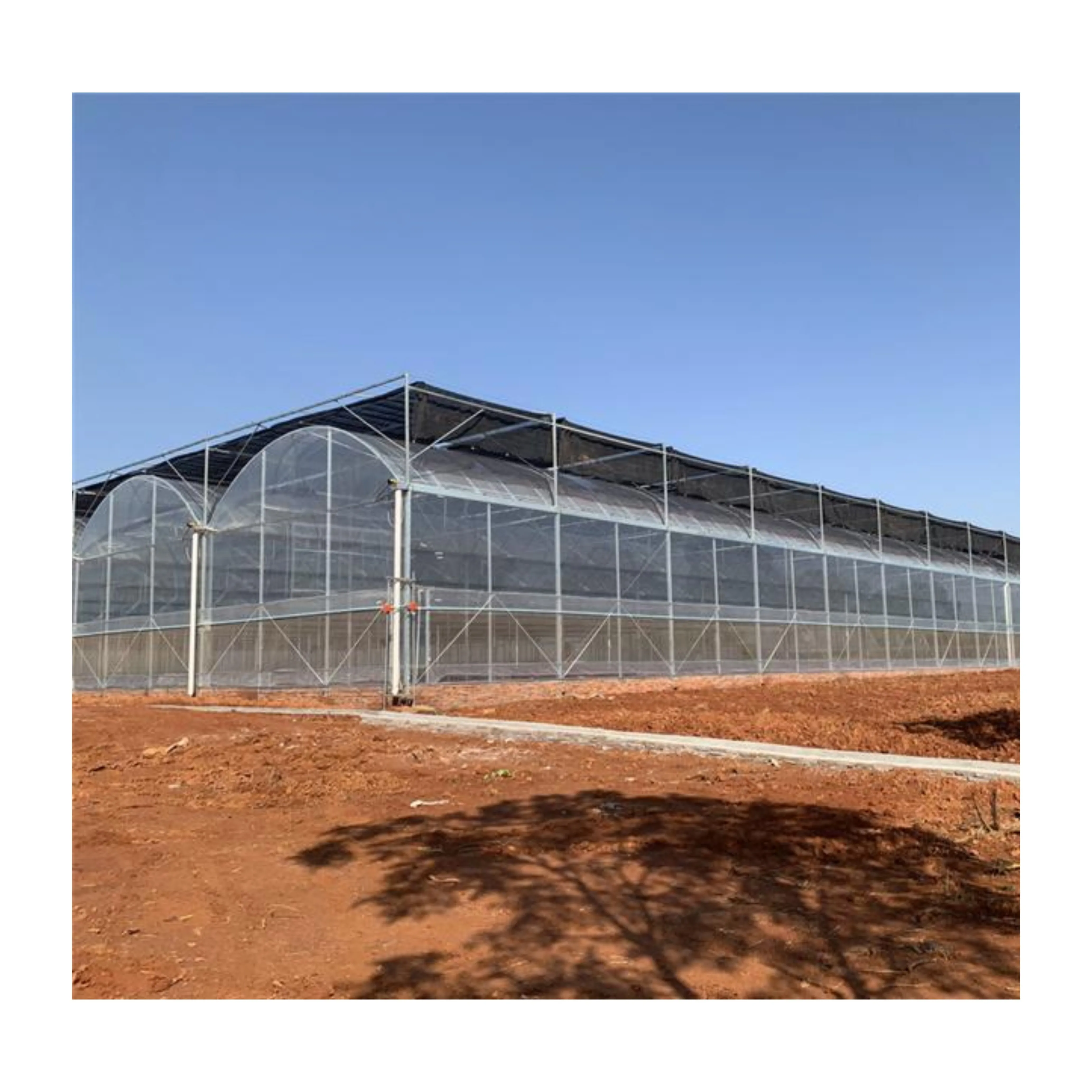 Greenhouse large span 6m, 8m, 10m agricultural tomato greenhouse / Tunnel Greenhouse with shading system