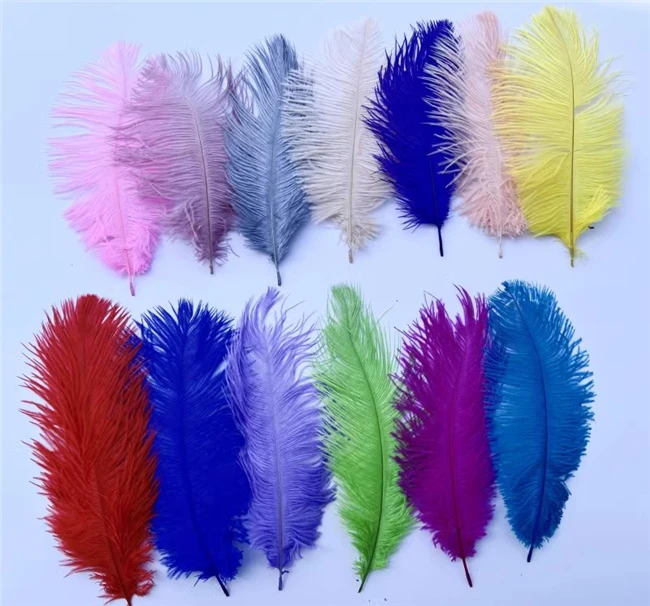 White Large Plume Ostrich Feathers Hair