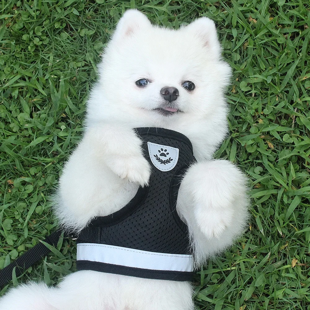 Adjustable Pet Cat Harness Vest Walking Reflective Harness Set Cat Dog Harness With Leash
