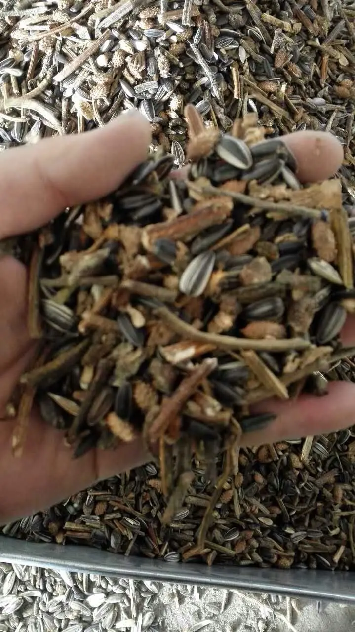 Double-Layer Belt Conveyor CCD Colour Sorter Broken Glass Bottles Color Sorter Separator Glass Color Sorter Sorting Machine