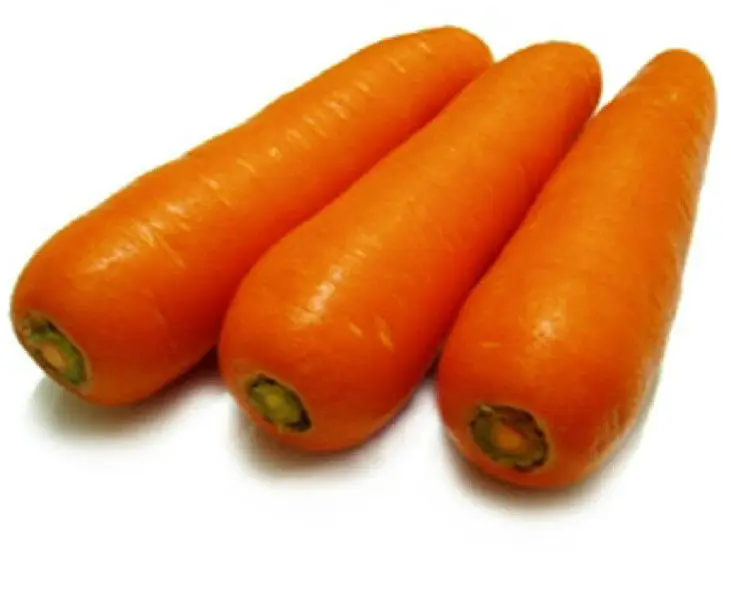 Factory Price New Crop Top Quality Low Price Fresh Carrots