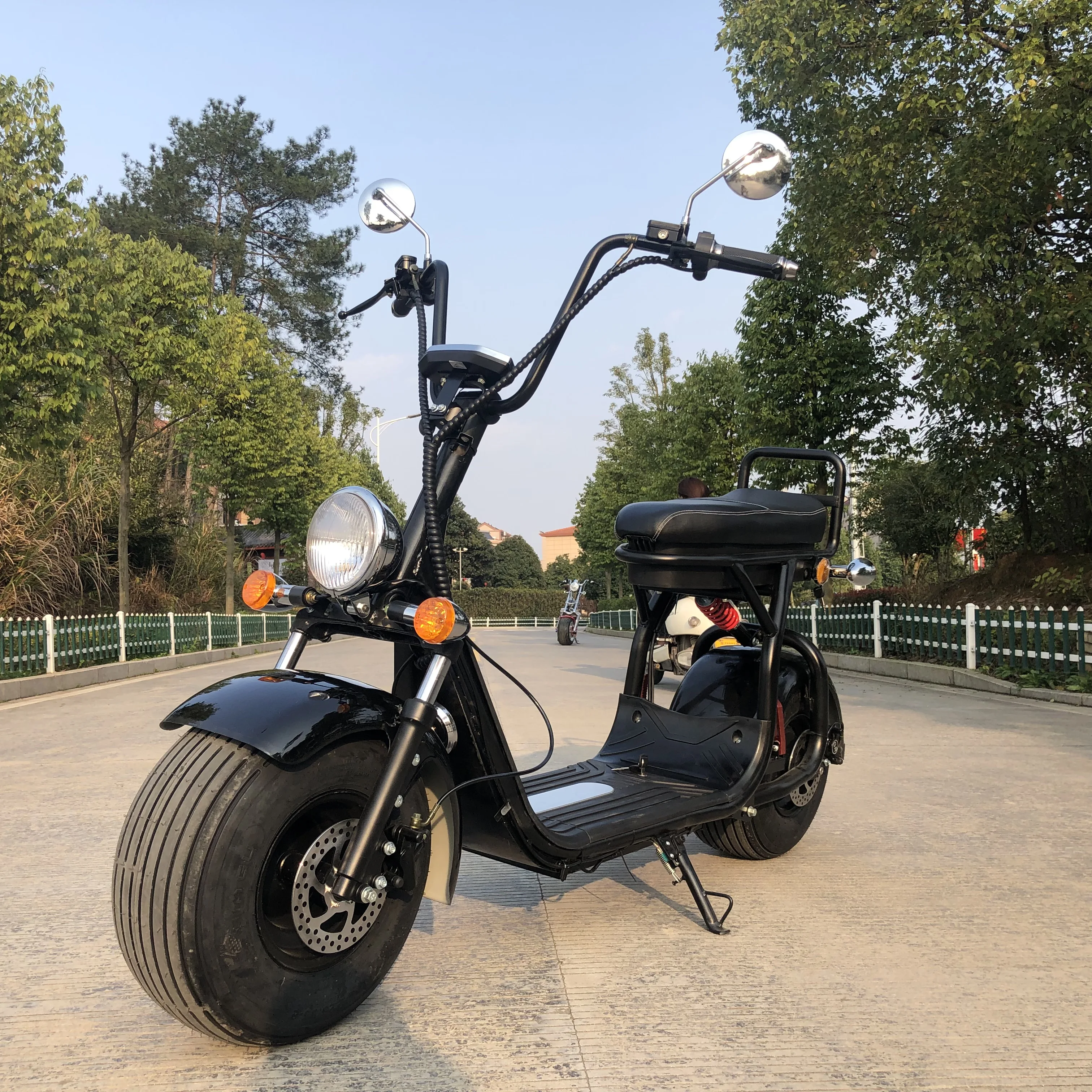 citycoco scooter _2.JPG