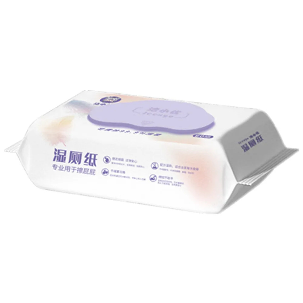 High Quality Custom Flushable Disposable Wipes 80pcs/bag Cleaning Wet Toilet Paper for Travel Hotel Home