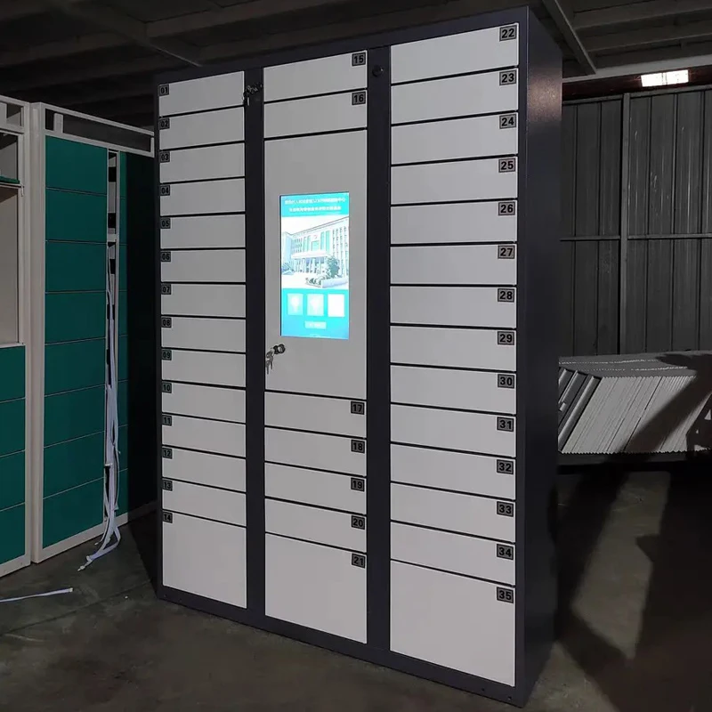 Цена поставщика оптовая продажа система хранения смарт-посылок RFID заводской индивидуальный Электрический замок открытый водонепроницаемый пляжный шкафчик