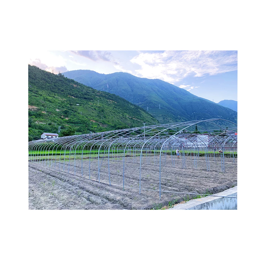 Flim tunnel horticultural green house for farming  Fruit & Vegetables Small Agricultural Greenhouse