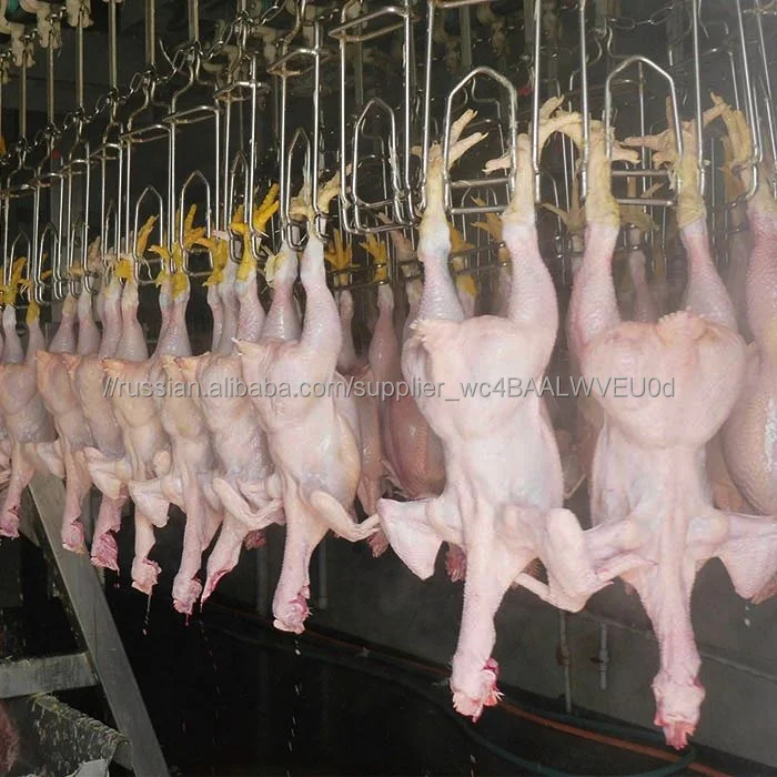 5000BPH Processing Production Turkey Poultry Slaughter Chain Line