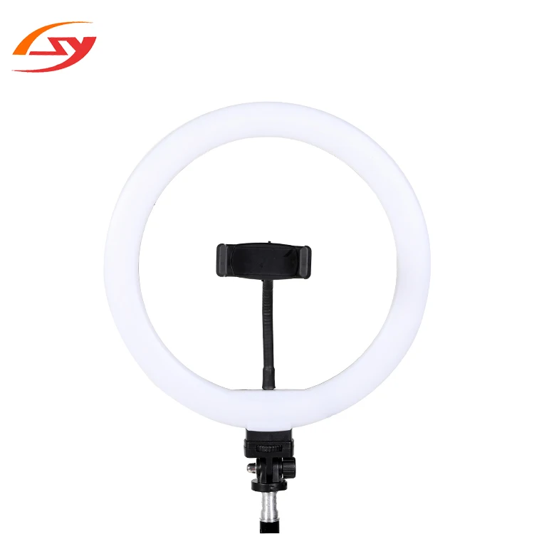ГОРЯЧАЯ видео для оборудования 10 дюймов светодиодная кольцевая лампа WithTripod стенд