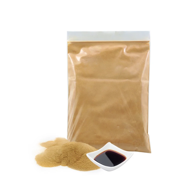 TSY Food Bulk Halal soya sauce powder natural brewed 500g for Making Soy Sauce Instant Free Sample soy sauce concentrate powder