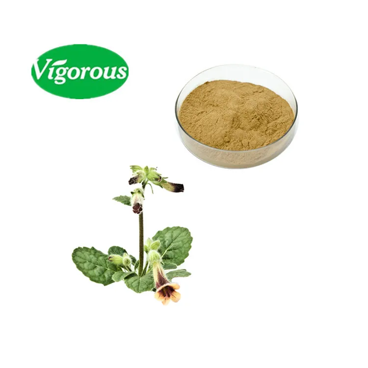 Organic 10%Catalpol best quality Rehmannia root extract