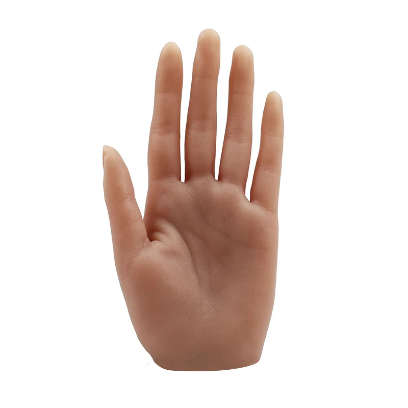 3d Model Nails Can Move And Display Hand Nail Molds Flexibly