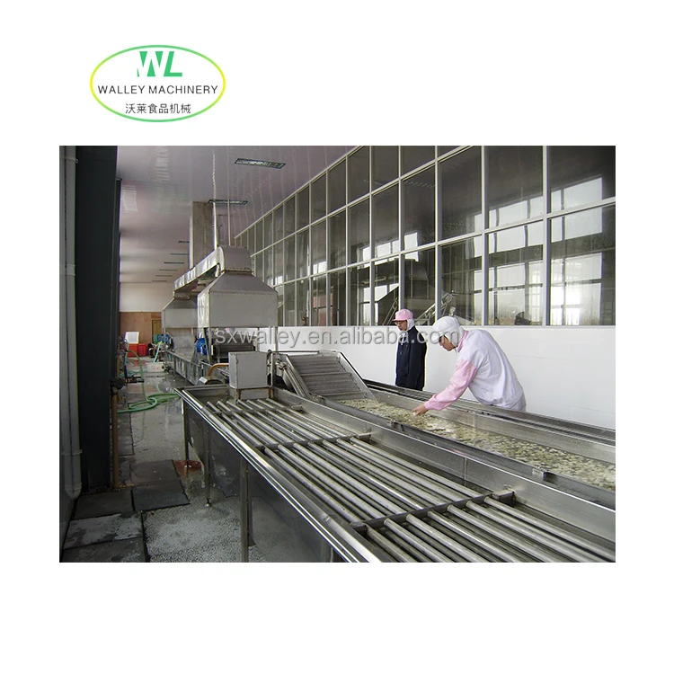 Hotsale Industrial Frozen Fruits and Vegetables Quick Freezing Line Okra Fast Freeze Equipment Rice Blast Freezing Machine