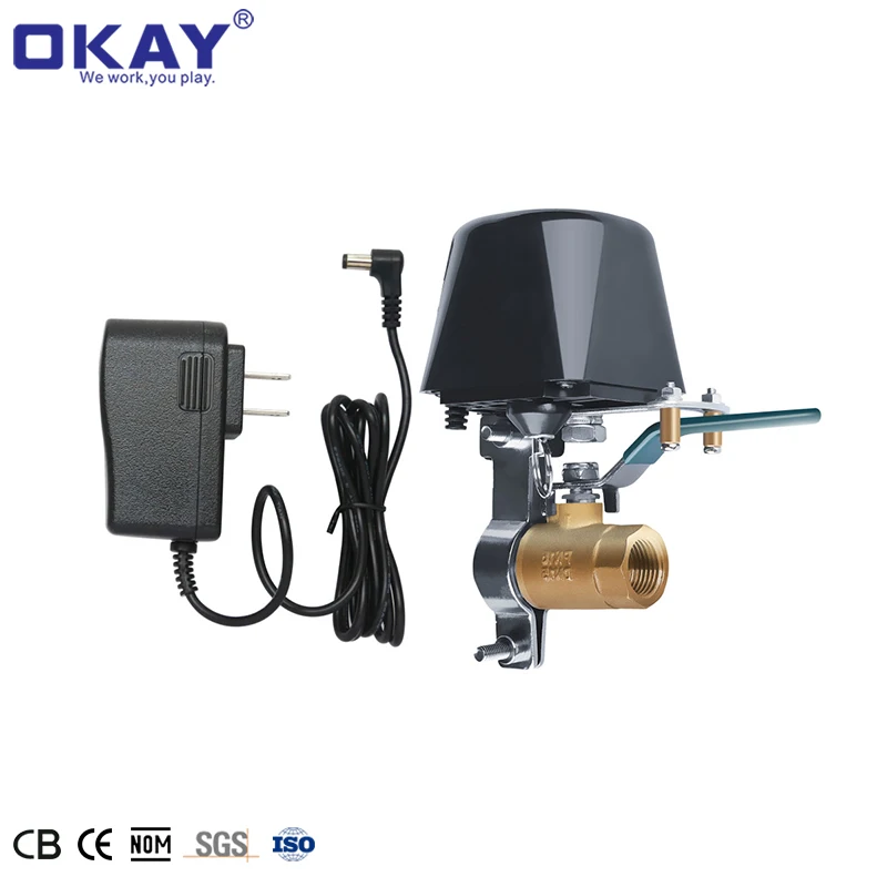 Smart Home Life Water Valve Automatic Electronic Appliance Isolation Shut-Off Valves WIFI Smart Valve