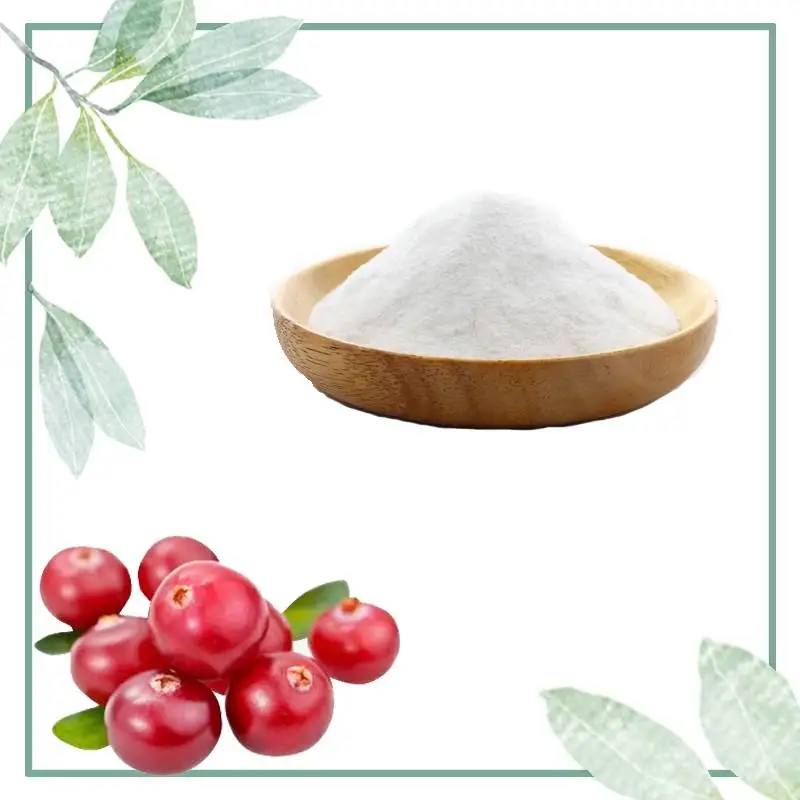 
High Quality Arbutin/Bearberry Extract/Bearberry Extract powder 