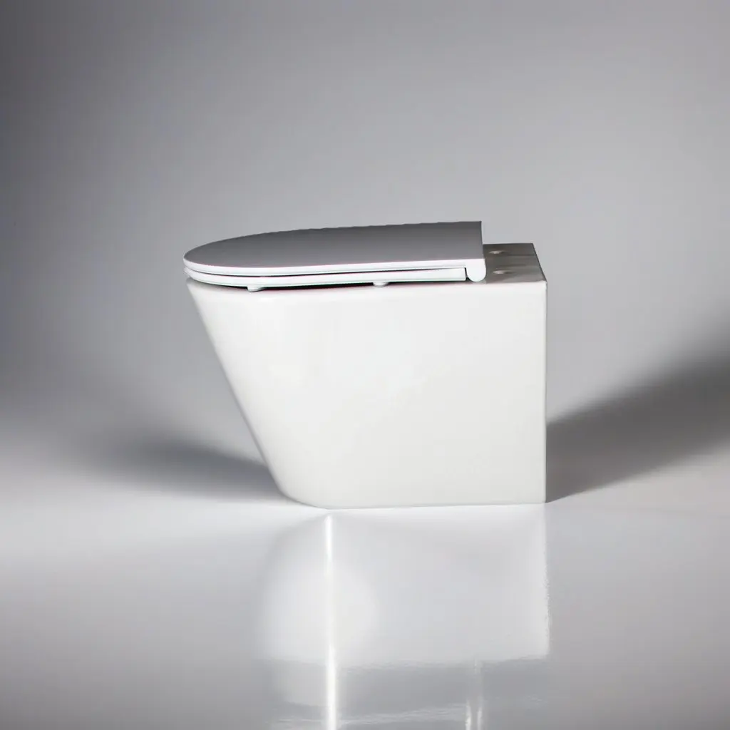 Water Closet Dual Flush Bathroom WC Wall Mounted Wall Hung Ceramic Toilets