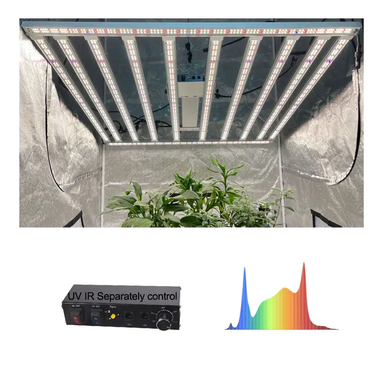 Сбалансированные светодиодные лампы Pppfd LM301H EVO для выращивания растений UV IR Lights электронная коммерция специальная низкая стоимость доставки индивидуальные 1000 Вт