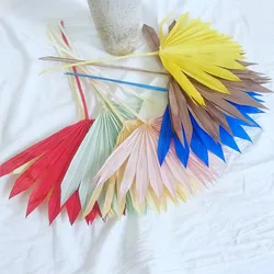 Wholesale high quality dried leaf flower wedding home decoration flower beauty good price dried palm leaves