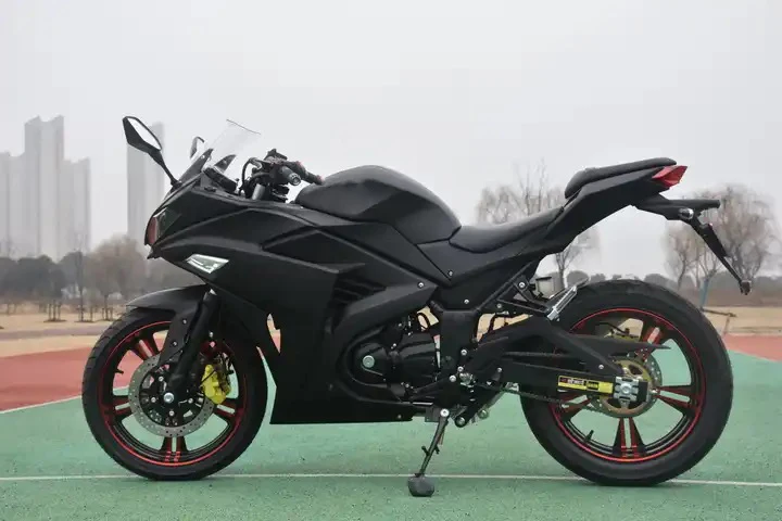 China hot sale custom sportbikes  5000w 8000W motorcycle dual cylinder racing electric bike motorcycles professional motorcycles