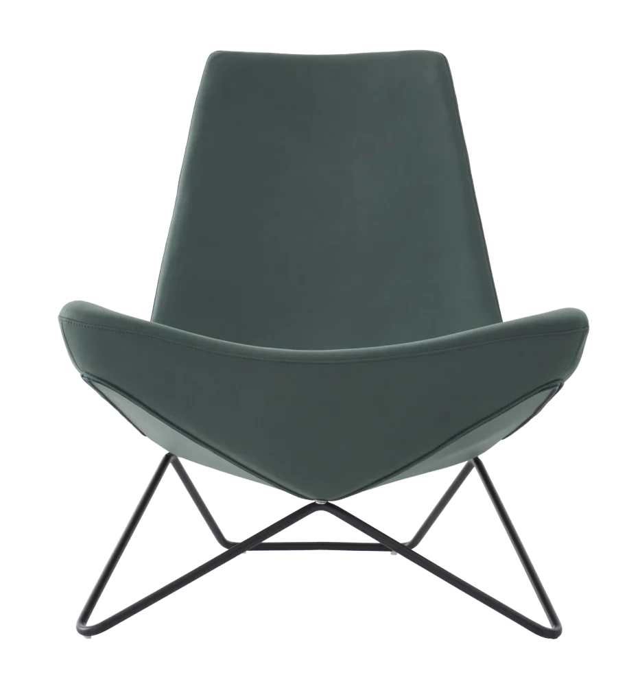 Unique Design Stain Resistant Fabric PU Foam Carbon Steel Leg Living Room Lounge Chair