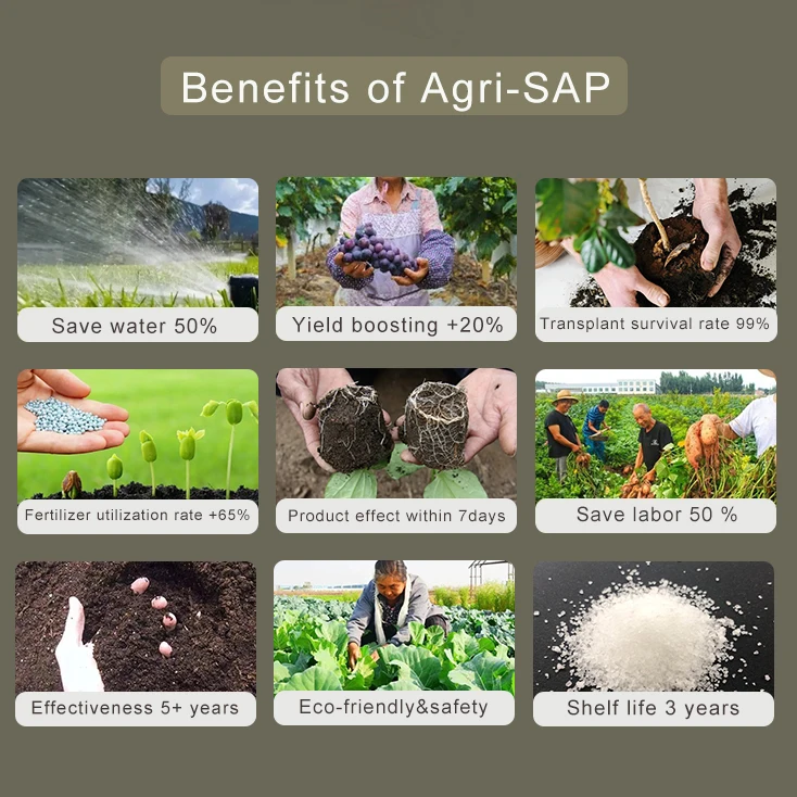 Free Sample High Quality Absorbing Super Absorbent Polymer Agricultural Sap  for soil