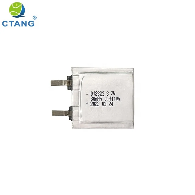 polymer battery 012323-05.jpg