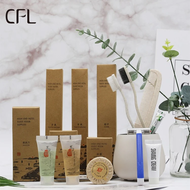 Wholesale Custom Eco Friendly Toiletries Hotel Plastic Combs Soap And Toothpaste Travel Kit